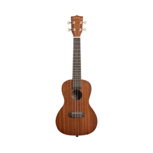 Ukulele concert